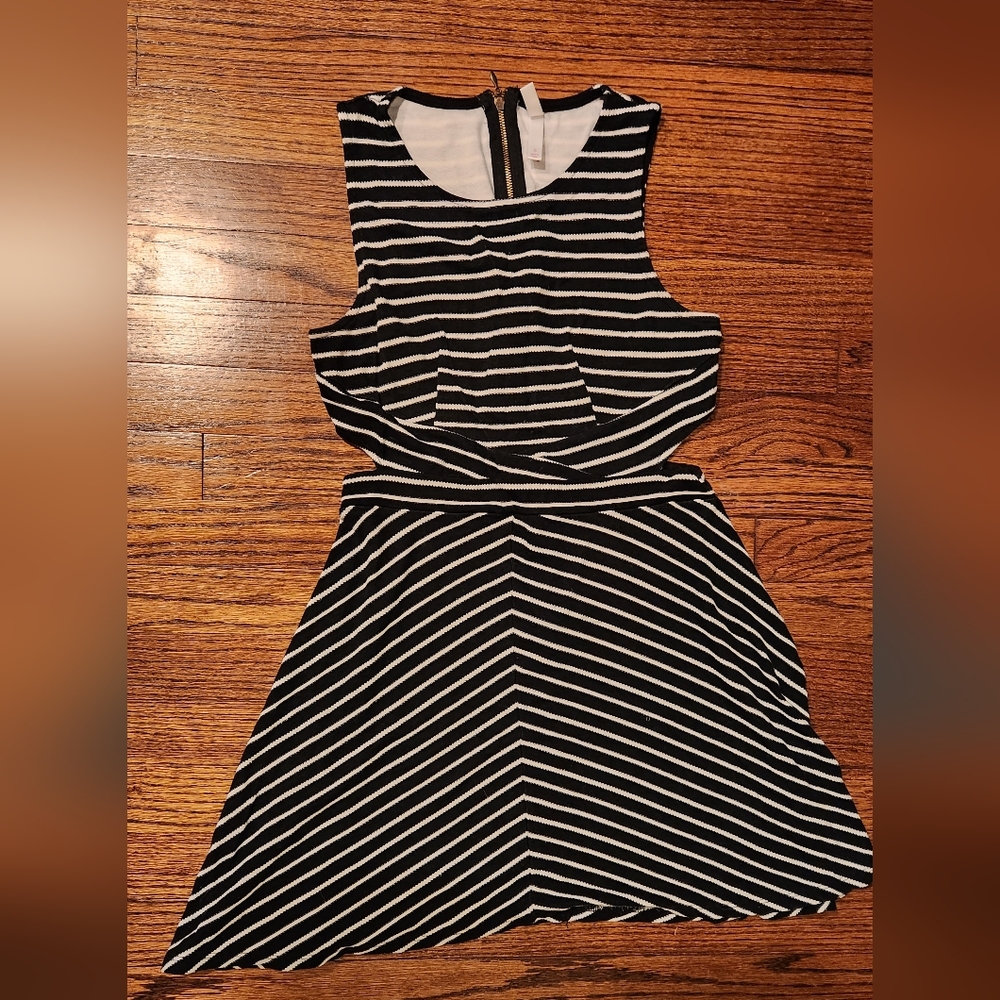 Striped Skater Dress